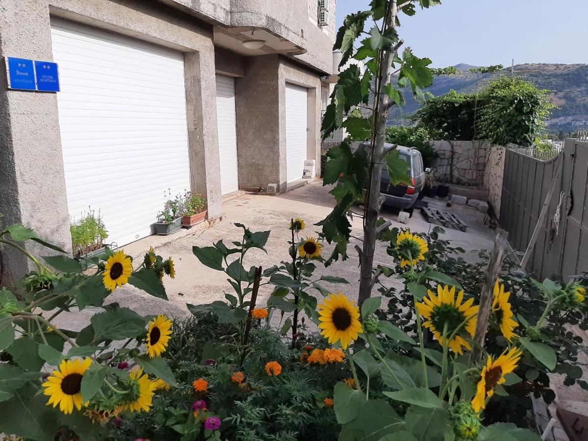 Dubrovnik Apartment Nepe 外观 照片
