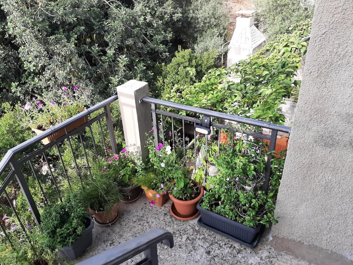 Dubrovnik Apartment Nepe 外观 照片