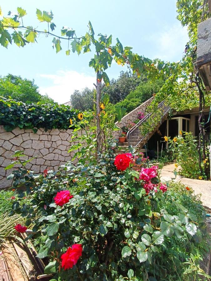 Dubrovnik Apartment Nepe 外观 照片